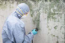 Best Residential Mold Inspection & Testing  in Fishersville, VA